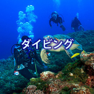 ダイビング