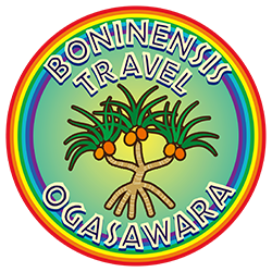 小笠原ボニネンシストラベル