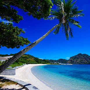 チャーター（貸切）ツアーのイメージ